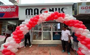 Magnus Store Care